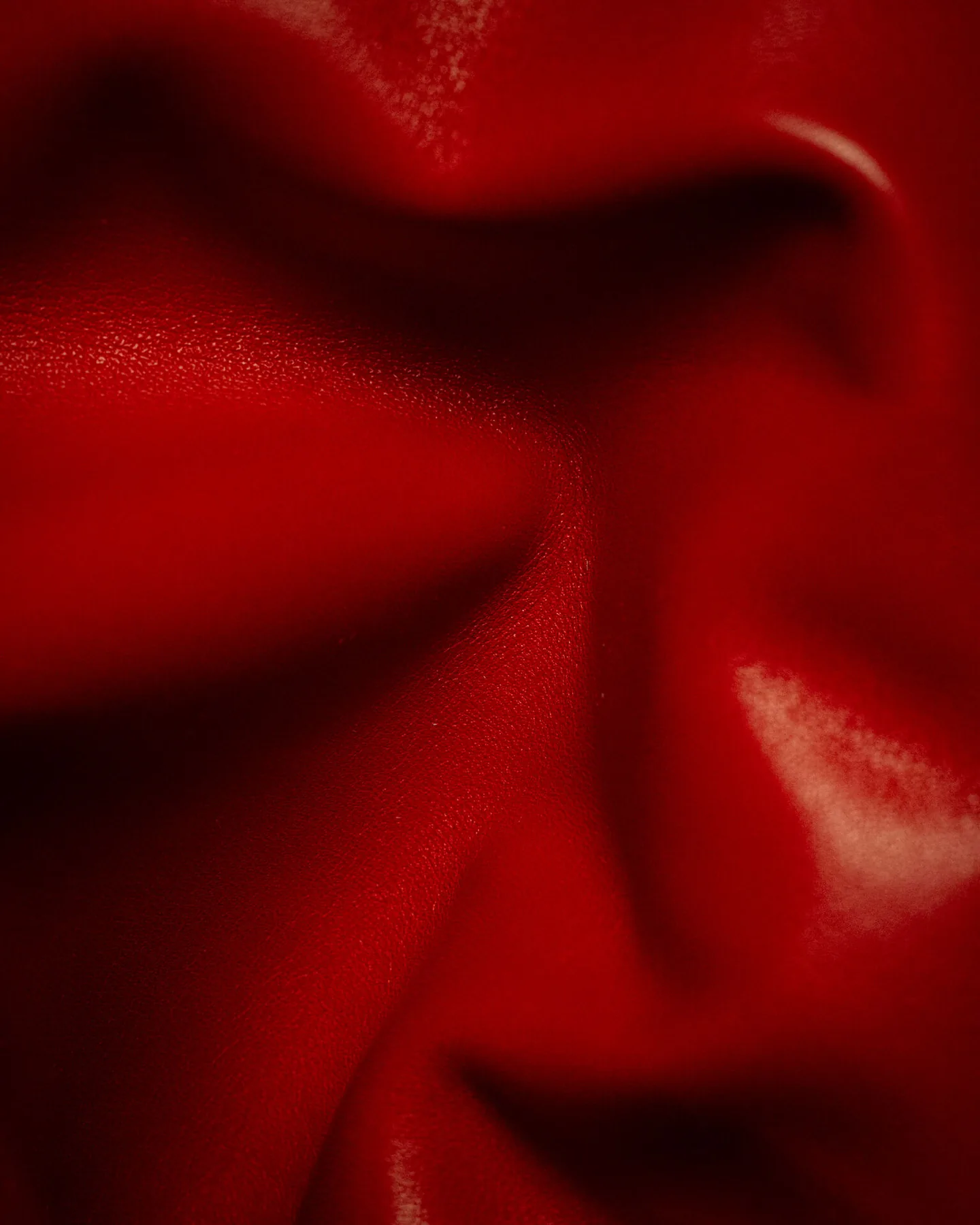Macro of full-grain leather with visible natural grain, Riva Firenze atelier