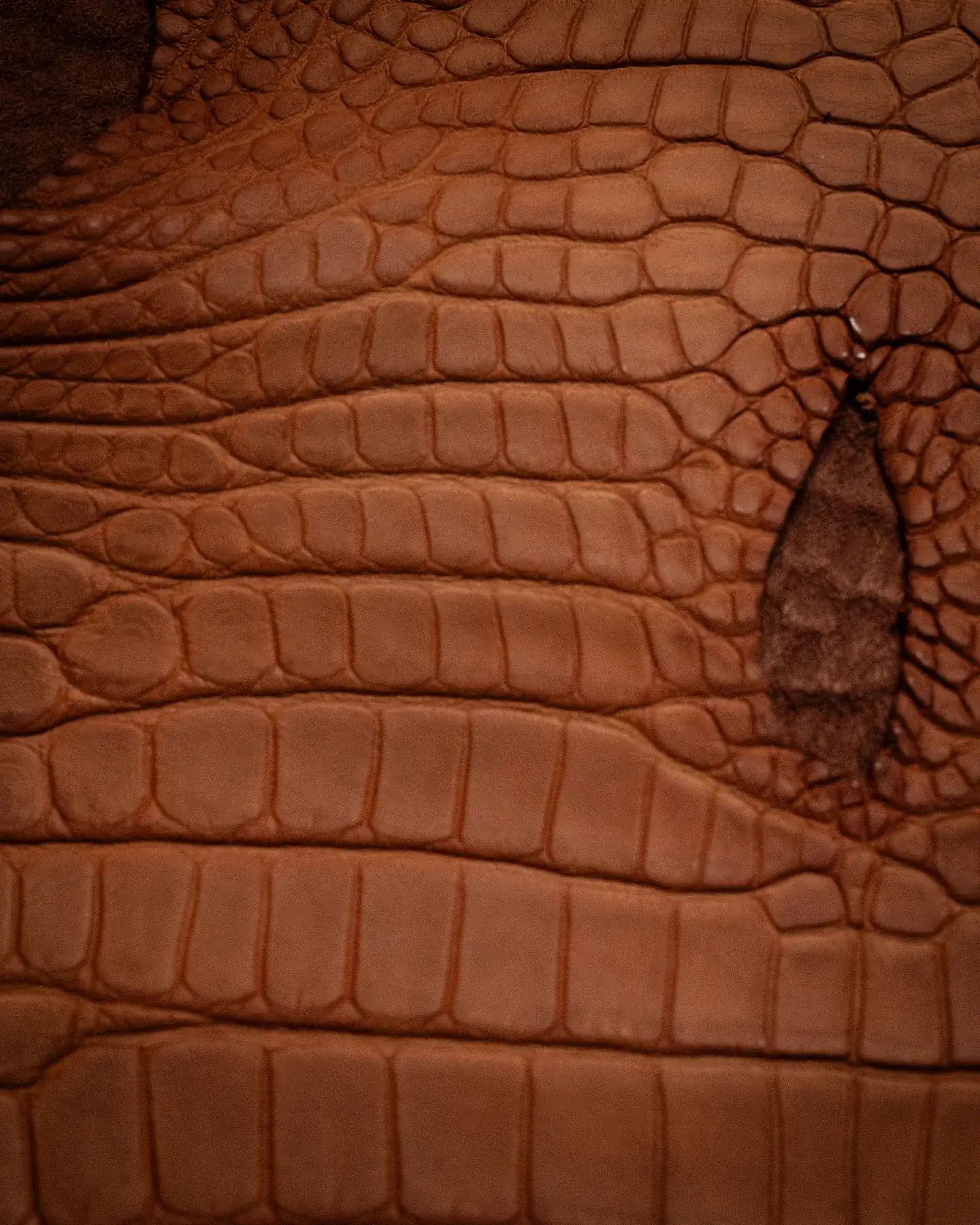 Leather swatch for bespoke jacket Riva Firenze Florence 29