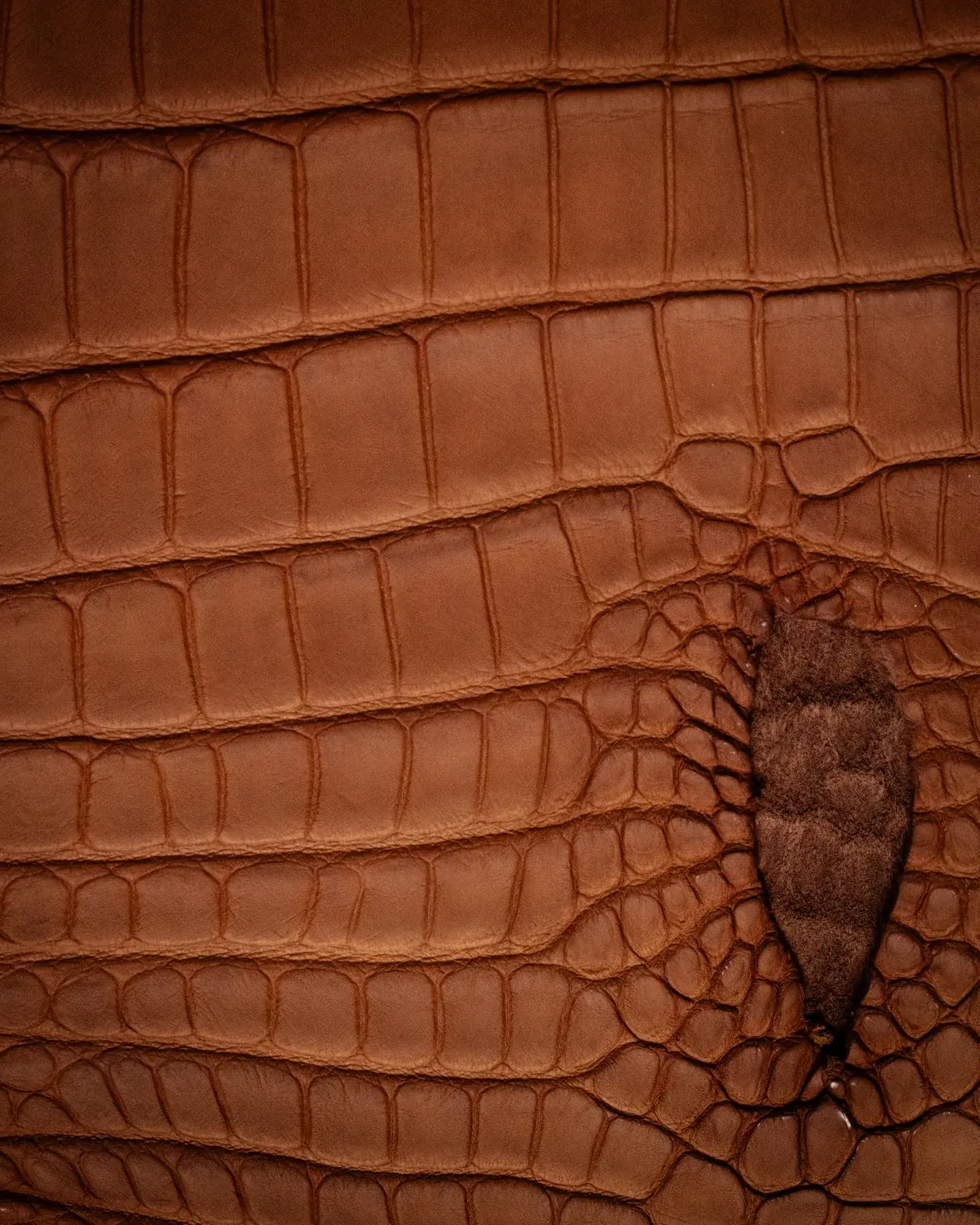 Leather swatch for bespoke jacket Riva Firenze Florence 30